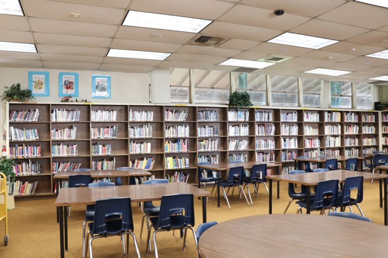 ONLINE LEARNING & SUPPORT
